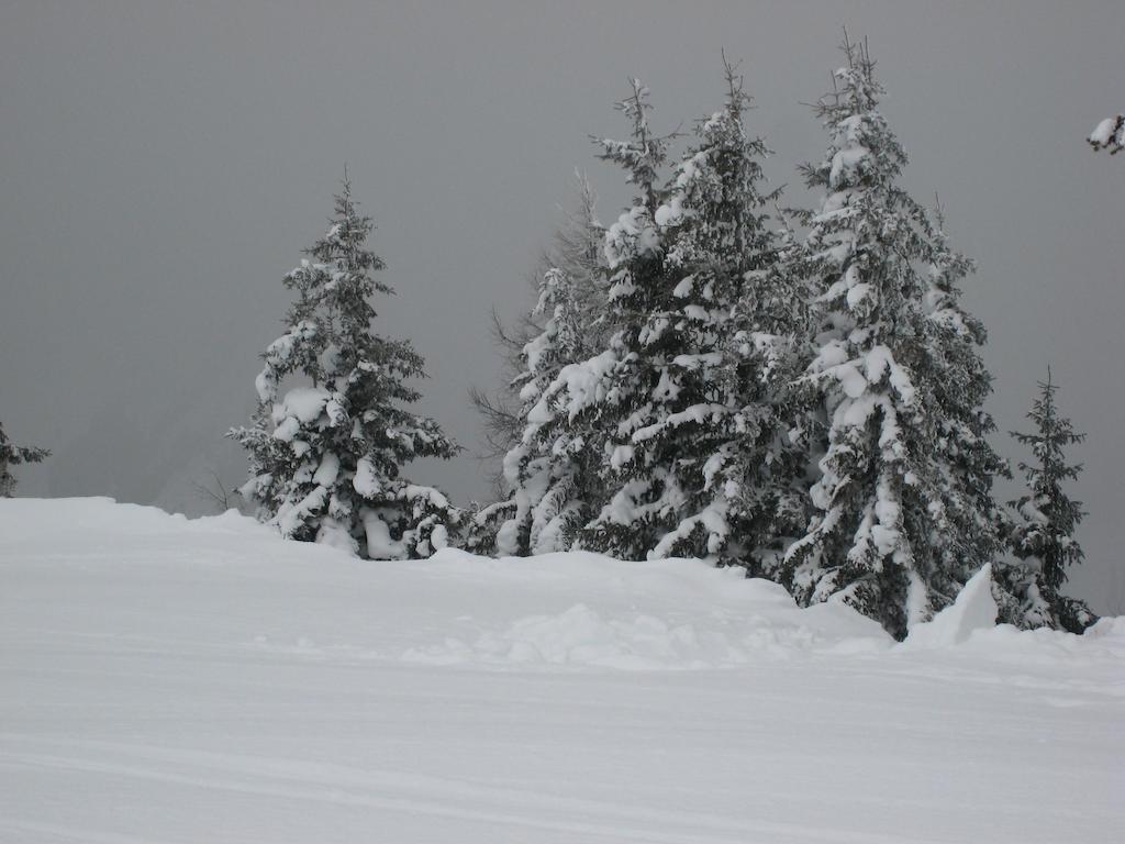 Schraberger - Top Alpin Amore Schladming Room photo
